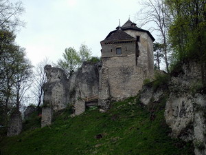 Link to full sized version of 05-ruiny Zamku.jpg