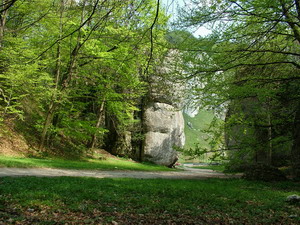 Link to full sized version of 11-Brama  Krakowska.jpg