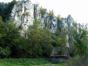 Link to full sized version of 36-w okolicach Mlynu Tatarzynskich.jpg