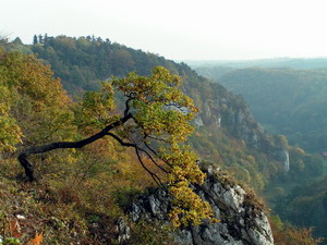 Link to full sized version of 41-na Gorze Koronnej.jpg