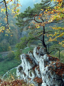 Link to full sized version of 46-Brama Krakowska - widok z Gory Koronnej.jpg