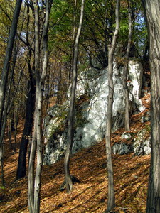 Link to full sized version of 47-skalka Sukiennice.jpg