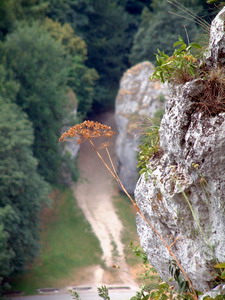 Link to full sized version of 50-Brama Krakowska  - widok z Rekawicy.jpg