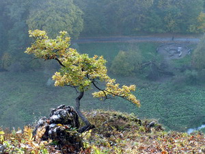 Link to full sized version of 55-Zrodelko Milosci widziane z Gory Koronnej.jpg