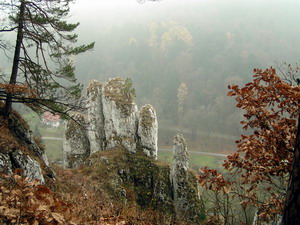 Link to full sized version of 56-Skala Rekawica.jpg