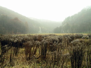 Link to full sized version of 61-plaskie dno Doliny Pradnika.jpg
