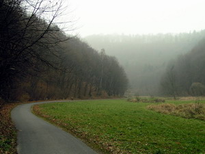 Link to full sized version of 63-jesienne mgly zwiastuja rychle przyjscie zimy.jpg