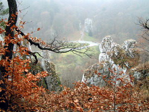 Link to full sized version of 64-jesien na Gorze Koronnej.jpg