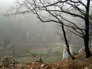 Link to full sized version of 66-w oczekiwaniu na przyjscie zimy.jpg