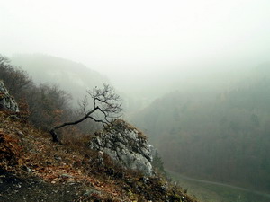 Link to full sized version of 68-w oczekiwaniu na snieg.jpg