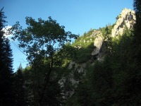 Sarnia Skała