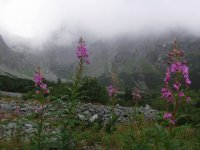 Rakuski Przechód
