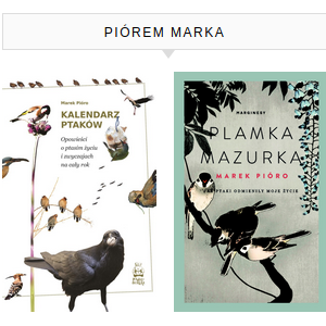 Plamka Mazurka